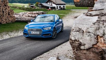 Audi A4 B9 (2016) - galeria redakcyjna