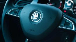 Skoda Fabia Combi - większa, niż myślisz