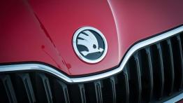 Skoda Fabia Combi - większa, niż myślisz