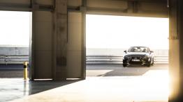 Lexus Driving Emotions 2017 – co Lexusy pokażą na torze?