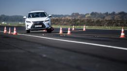 Lexus Driving Emotions 2017 – co Lexusy pokażą na torze?