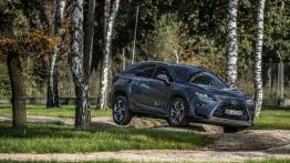 Lexus Driving Emotions 2017 – co Lexusy pokażą na torze?