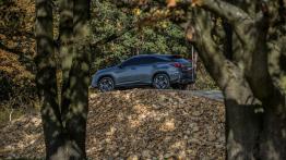 Lexus Driving Emotions 2017 – co Lexusy pokażą na torze?