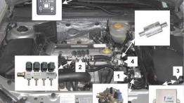 Sekwencyjny wtrysk gazu