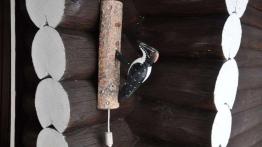 Wyprawa na Nordkapp Volkswagenami 4Motion - dzień pierwszy